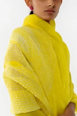 Medium Orbit Organza Sari In Yellow -Echo Clothing Store 105sm20 3