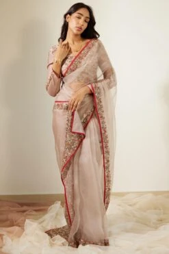Sarang Kaur Grey Gulaal Sari