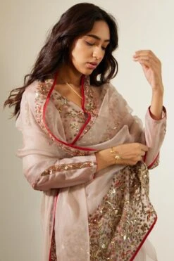 Sarang Kaur Grey Gulaal Sari 8 Sarang Kaur Grey Gulaal Sari -Echo Clothing Store 11523sk25 3