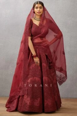 Torani Red Dori Embroidered Dupatta