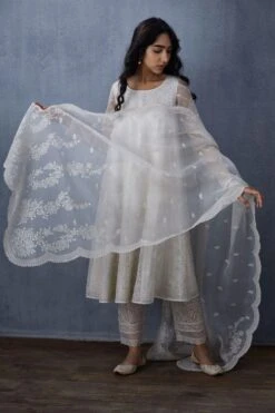 Torani Swetha Paavni Organza Odhani