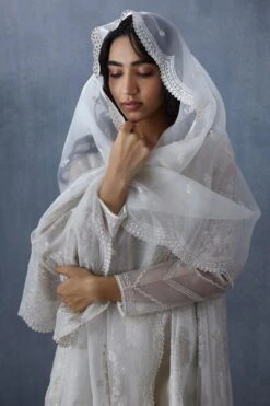 Torani Swetha Paavni Organza Odhani -Echo Clothing Store 172tor39 3