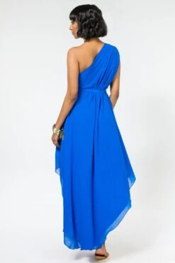 Stephany Royal Blue One Shoulder Dress -Echo Clothing Store 181stp7 4