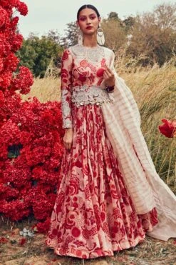 Bhumika Sharma Printed Organza Anarkali Set