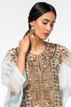 Divya Sheth Powder Blue Organza Kaftan With Inner & Pants -Echo Clothing Store 191ds9 4