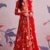 Ridhi Mehra Red Floral Pleated Anarkali With Ruffle Dupatta