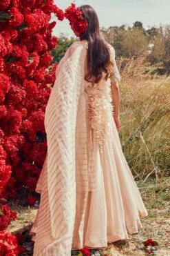 Bhumika Sharma Champagne Organza Belted Anarkali Set 6 Bhumika Sharma Champagne Organza Belted Anarkali Set -Echo Clothing Store 2511bs01 3