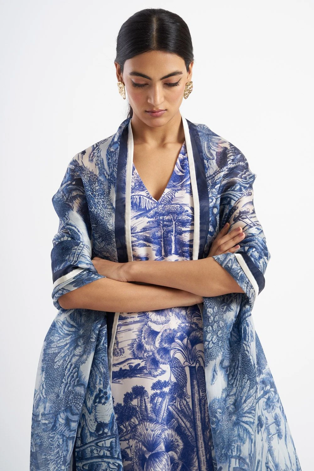 Kshitij Jalori Ranthambore Tanzenite Dupatta 3 Kshitij Jalori Ranthambore Tanzenite Dupatta - Image 3