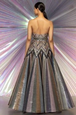 Amit Aggarwal Striped Starburst Structured Gown -Echo Clothing Store 294aasc17 3