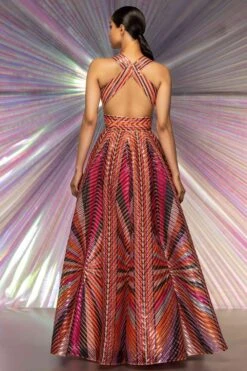 Amit Aggarwal Striped Starburst Pink Structured Gown -Echo Clothing Store 294aasc18 3