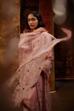 BRIH Blush Hand Embellished Dupatta