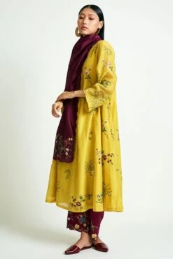 Payal Pratap Maroon Chanderi Embroidered Scarf