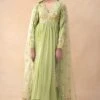 Ahilian Green Floral Embellished Anarkali Set