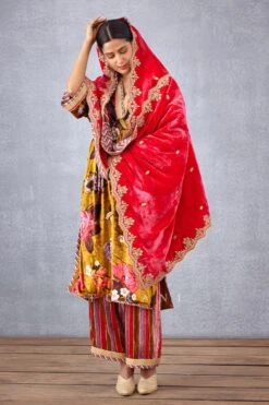 Torani Pink Mushira Silk Velvet Doshala -Echo Clothing Store 31tch22 3