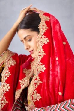 Torani Pink Mushira Silk Velvet Doshala -Echo Clothing Store 31tch22 4