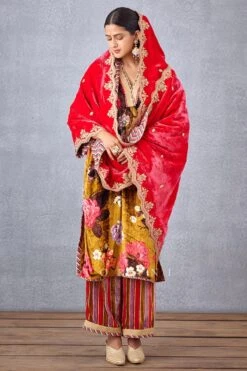 Torani Pink Mushira Silk Velvet Doshala -Echo Clothing Store 31tch22 5