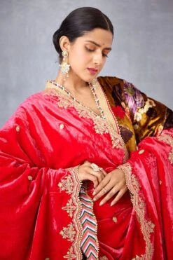 Torani Pink Mushira Silk Velvet Doshala -Echo Clothing Store 31tch22 6