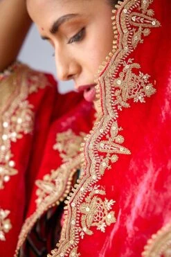 Torani Pink Mushira Silk Velvet Doshala -Echo Clothing Store 31tch22 7