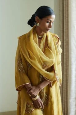 Sarang Kaur Yellow Shashi Stole -Echo Clothing Store 61023sk7 3