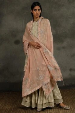 Sunira Designs Pink Silk Georgette Bordered Dupatta