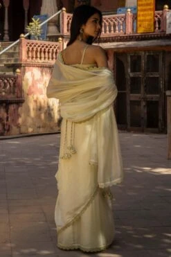 Punit Balana Mint Green Organza Silk Sari 5 Punit Balana Mint Green Organza Silk Sari -Echo Clothing Store pbsb 41 3