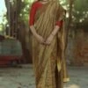 Shorshe Handloom Tissue Sari With Floral Embroidery